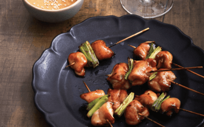 Chicken Teriyaki Skewers – Recipes to Entertain